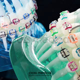 #0226 MODELO DENTARIO DE ORTODONCIA PARA ESTUDIO