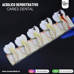 #0349 ACRILICOS DEMOSTRATIVOS PARA ESTUDIO