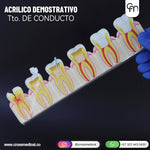 #0349 ACRILICOS DEMOSTRATIVOS PARA ESTUDIO