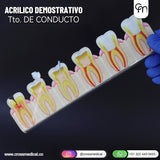 #0349 ACRILICOS DEMOSTRATIVOS PARA ESTUDIO